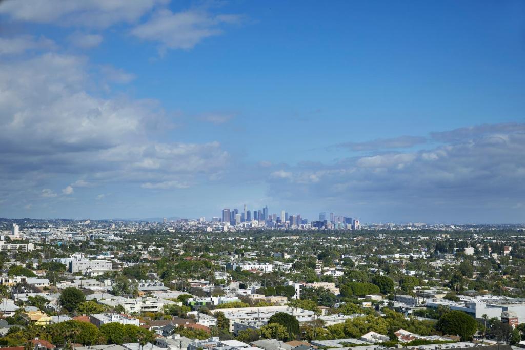 Panoramic One Bedroom Suite