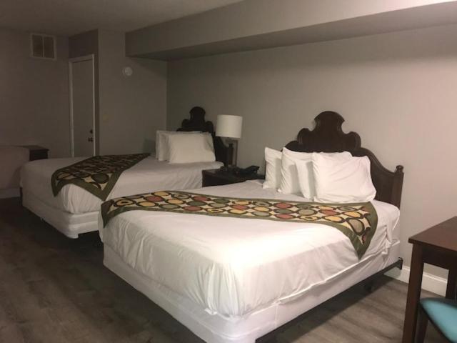 Queen Room with Two Queen Beds