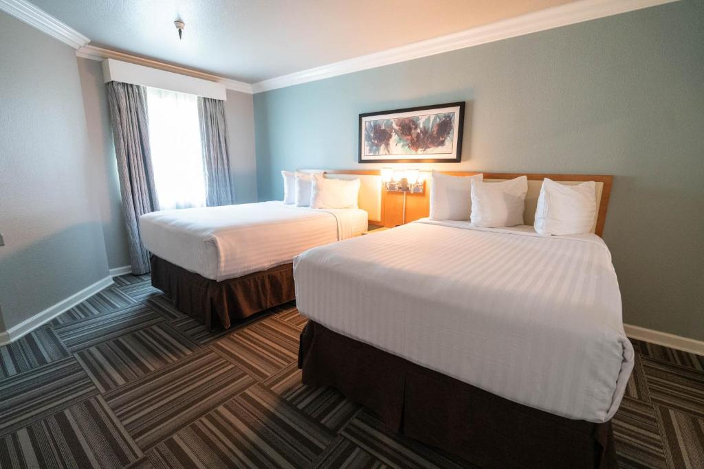 Deluxe Double Double