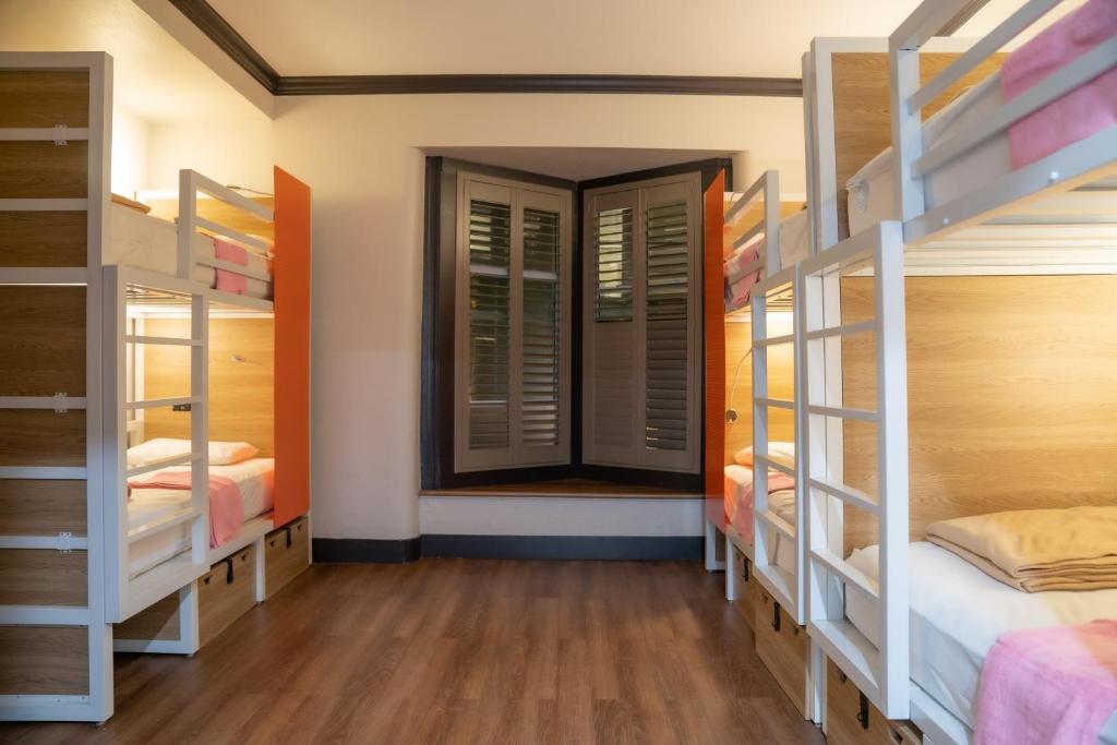 Bed in 6-Bed Female Dormitory Room – Private Bathroom