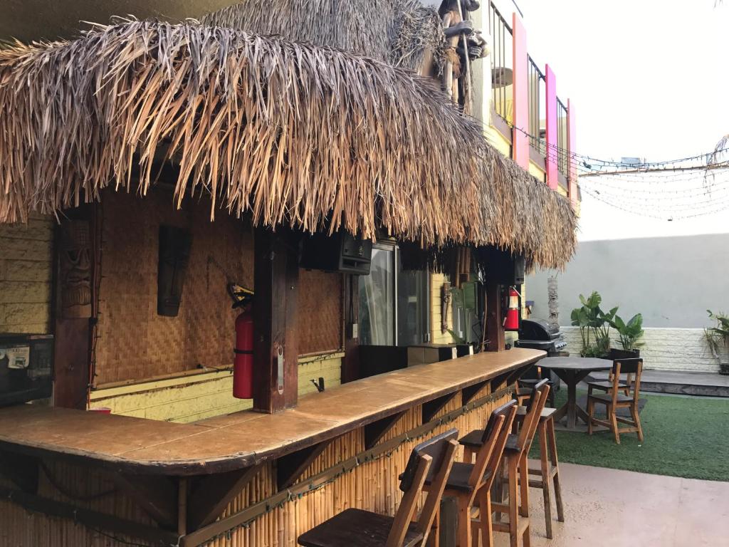 Bed in 6-Bed Mixed Dormitory Room