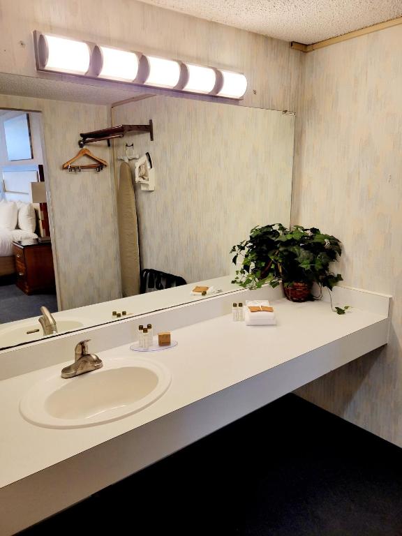 1 Room King Suite Non-Smoking