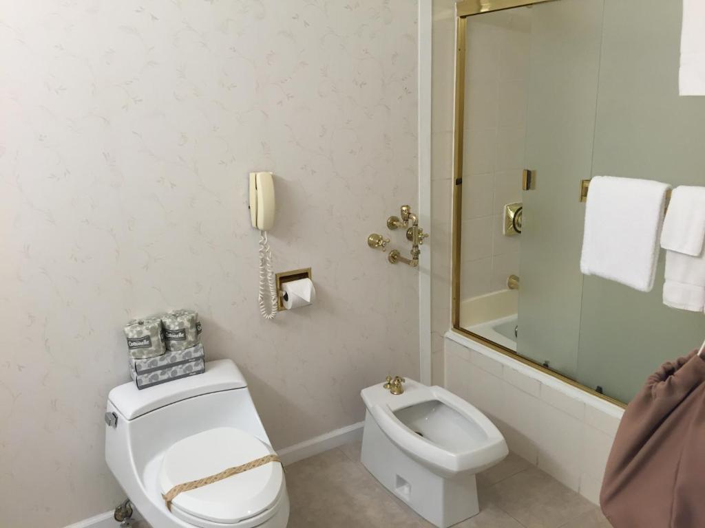 Studio Suite With Kitchen