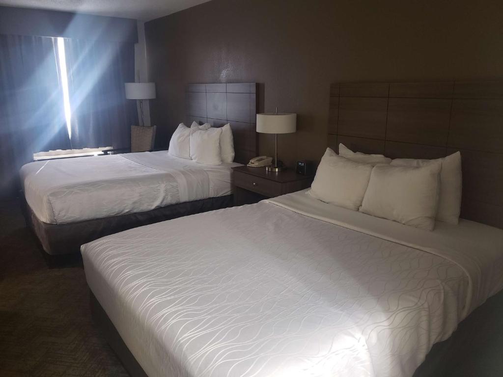 Queen Room with Two Queen Beds – Non-Smoking