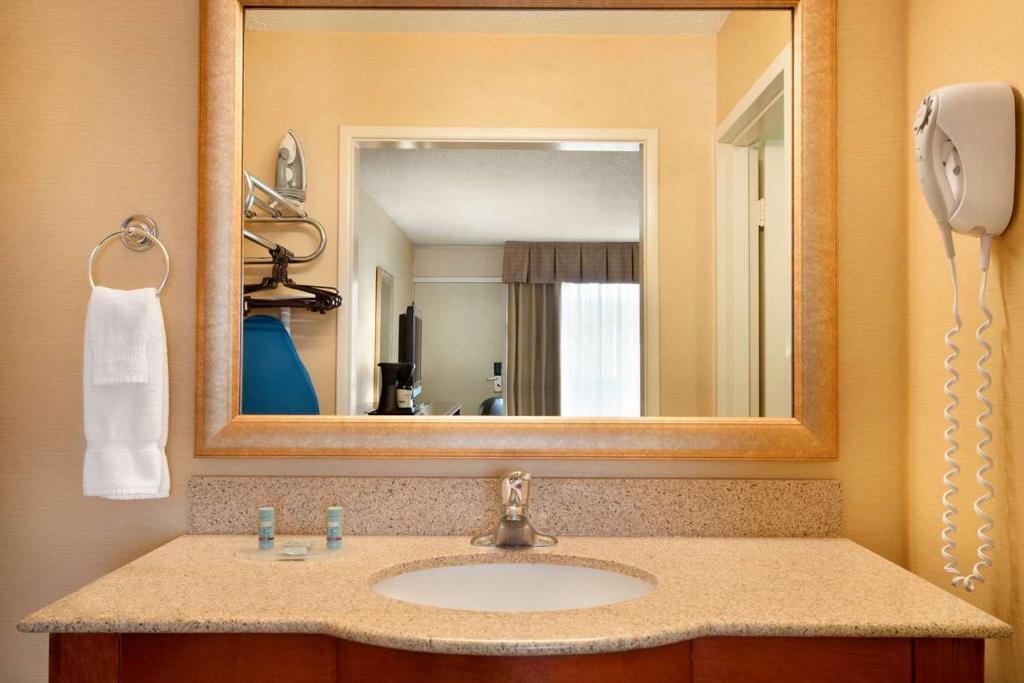 Mini King Suite – Non-Smoking