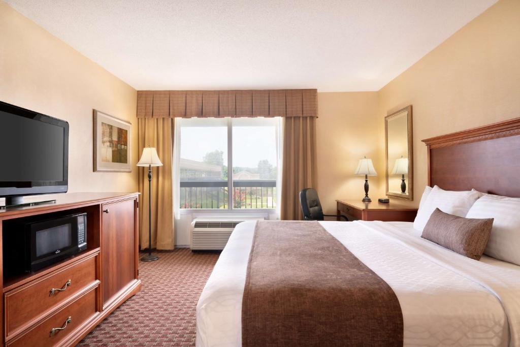 Mini King Suite – Non-Smoking