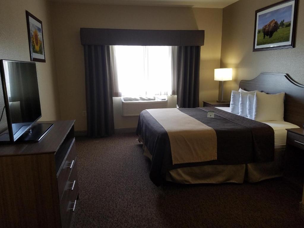 King Suite with Sofa Bed and Wet Bar