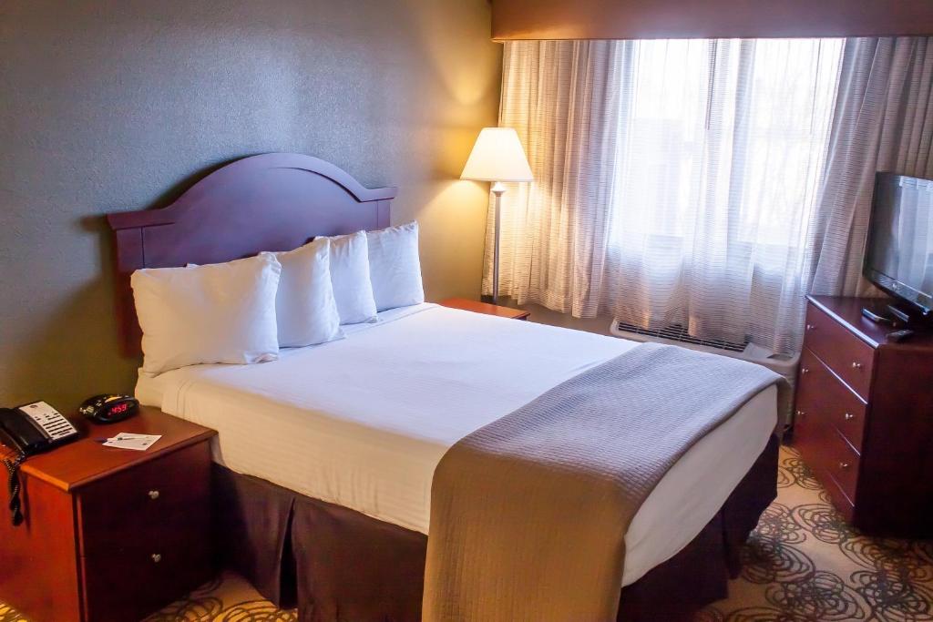 One-Bedroom King Suite with One Queen Bed and Sofa Bed – KitchenNon-Smoking