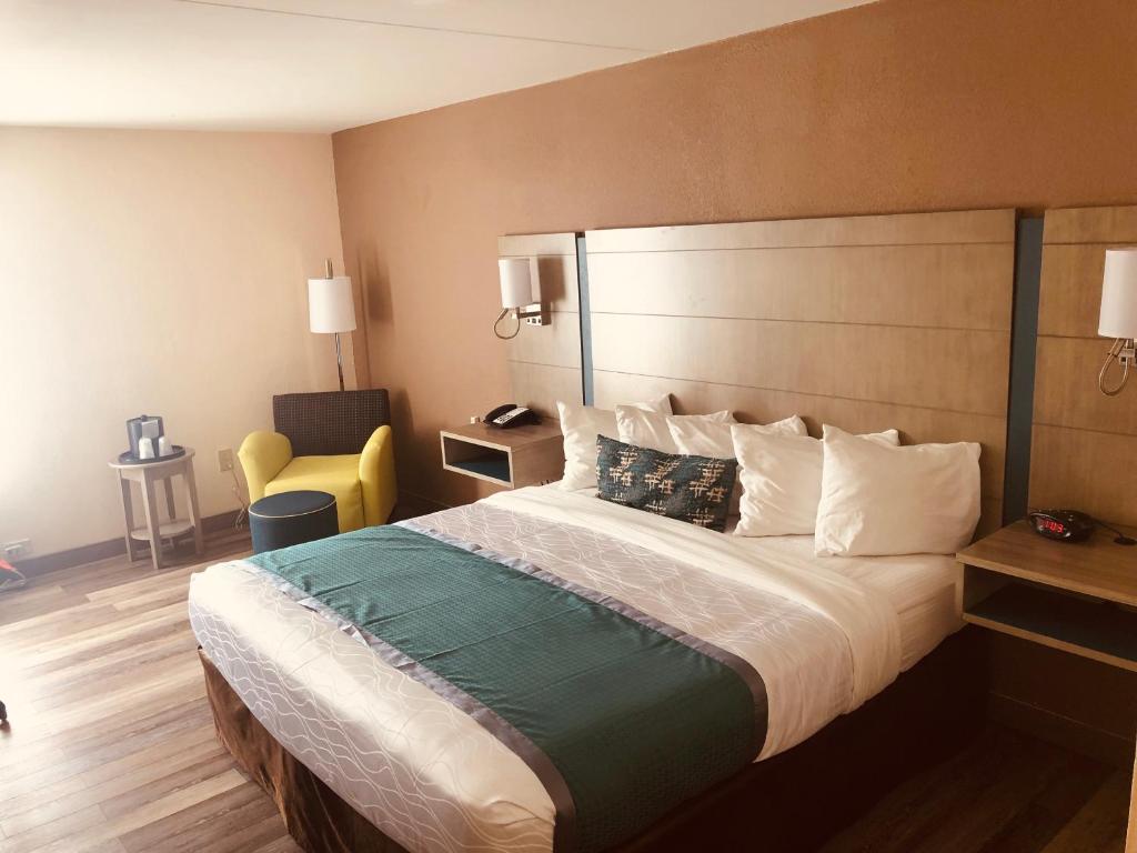 King Room – Non-Smoking