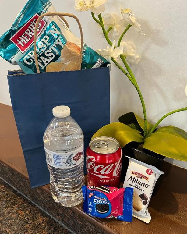 Queen Room with Two Queen Beds – Non-Smoking