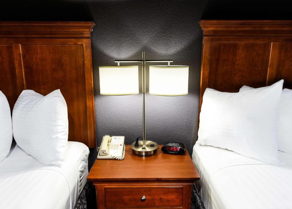 Queen Suite – Non-Smoking