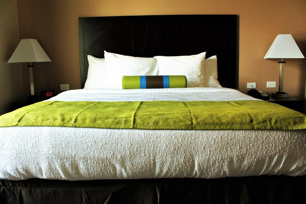 King Suite with Roll – In Shower-Disability Access