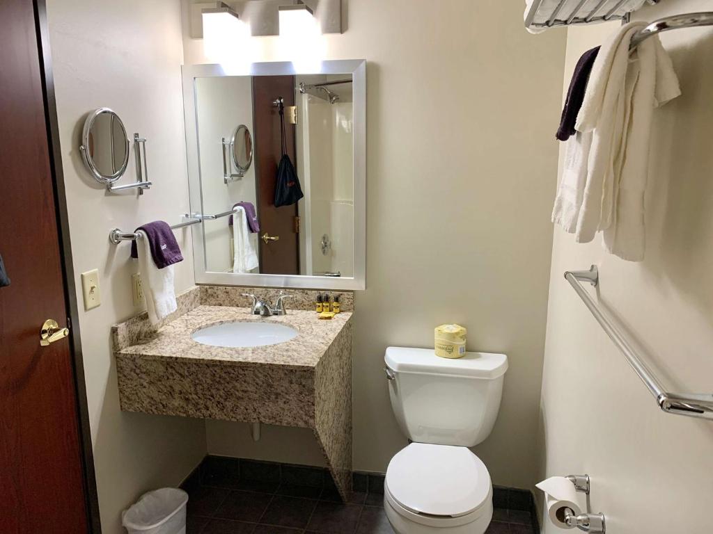 King Room with Roll-in Shower – Disability AccessNon-Smoking