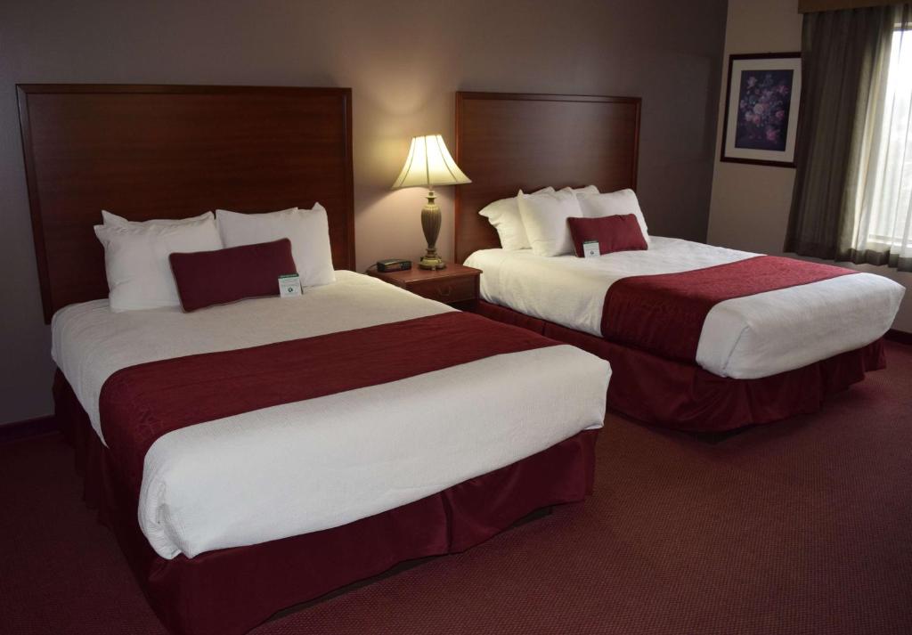 Queen Room with Two Queen Beds – Non-Smoking