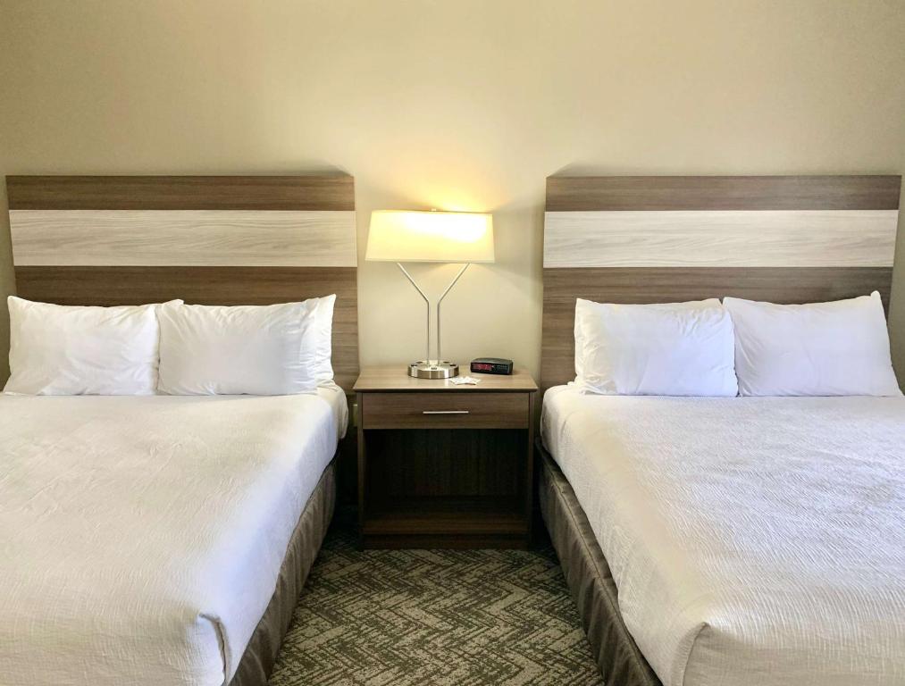 Suite with One King Bed and Two Queen Beds