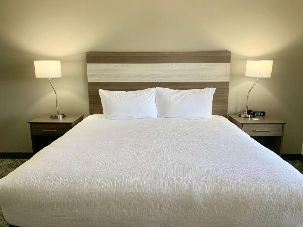 Suite with One King Bed and Two Queen Beds