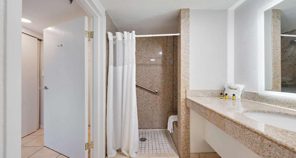 Queen Room with Walk In Shower – Mobility AccessiblePet Friendly