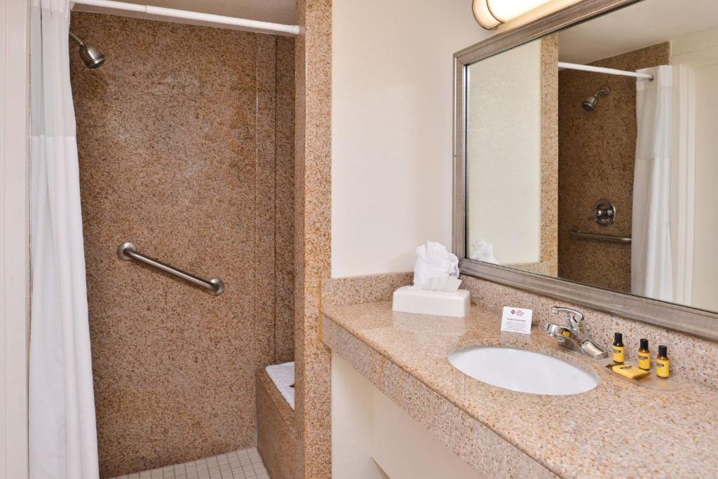 Queen Room with Walk In Shower – Mobility AccessiblePet Friendly