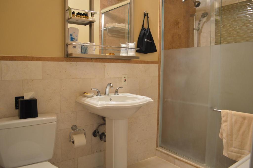 Penthouse Apartment with Queen Bed