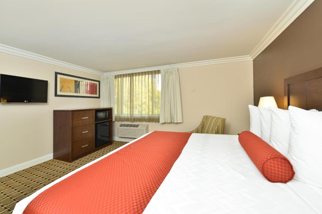 King Room with Bath Tub – Disability Access