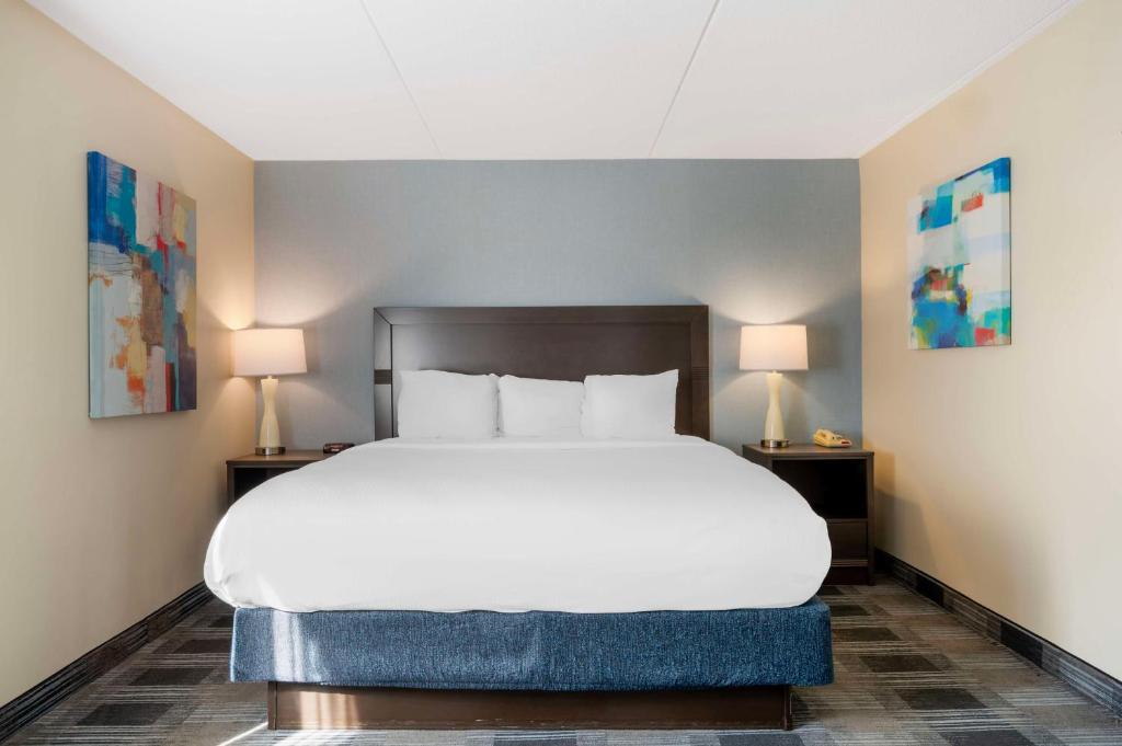 King Room with Mobility Accessible Roll-In Shower