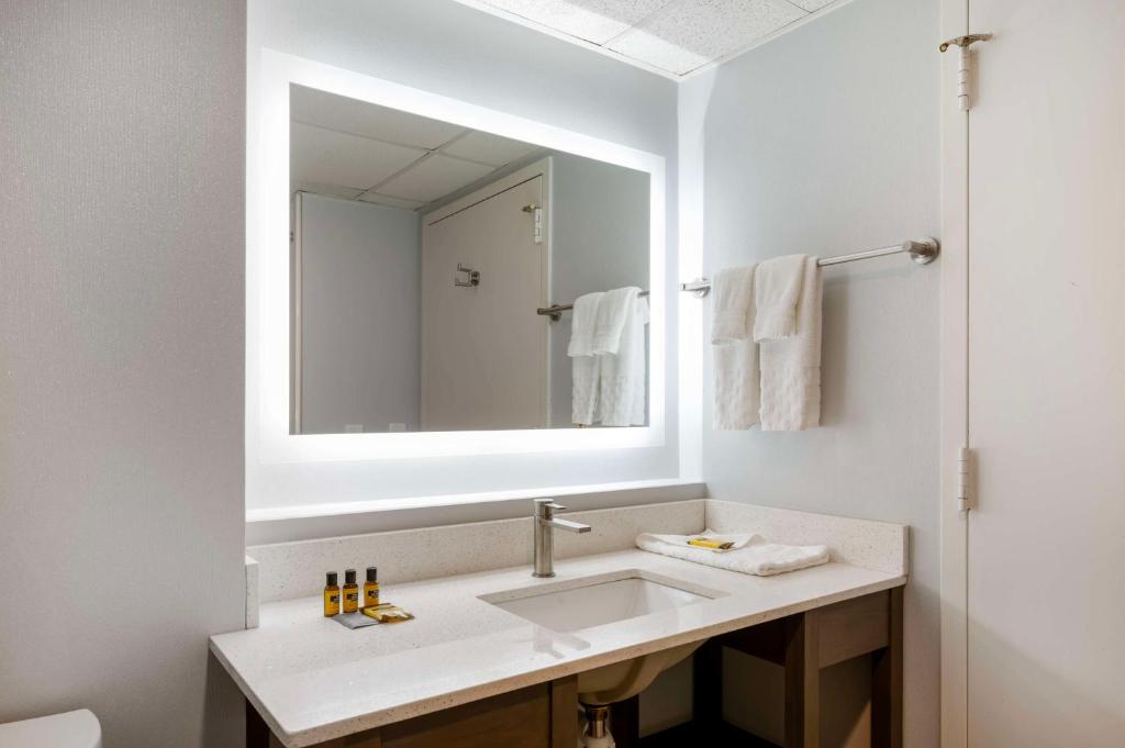 King Room with Mobility Accessible Roll-In Shower