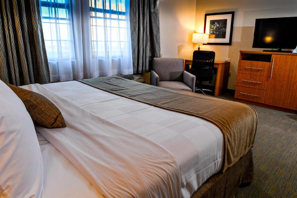 King Room with Roll-In Shower – Disability Access