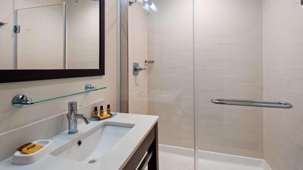 King Room with Roll-In Shower – Disability Access