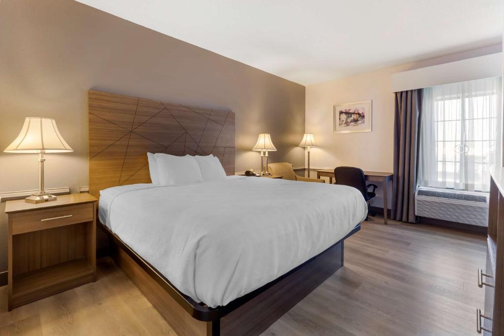 King Room with Roll-In Shower – Disability AccessNon-Smoking