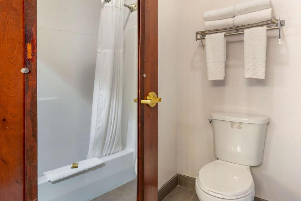 King Suite with Three King Beds and Sofa Bed – Non-Smoking