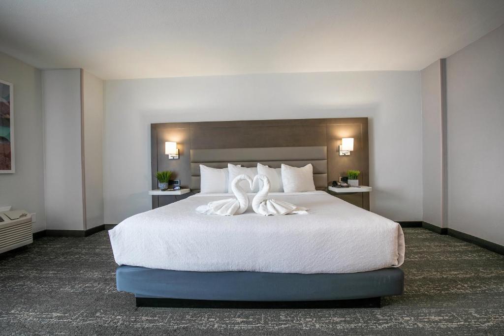 King Room with Communication Assistance