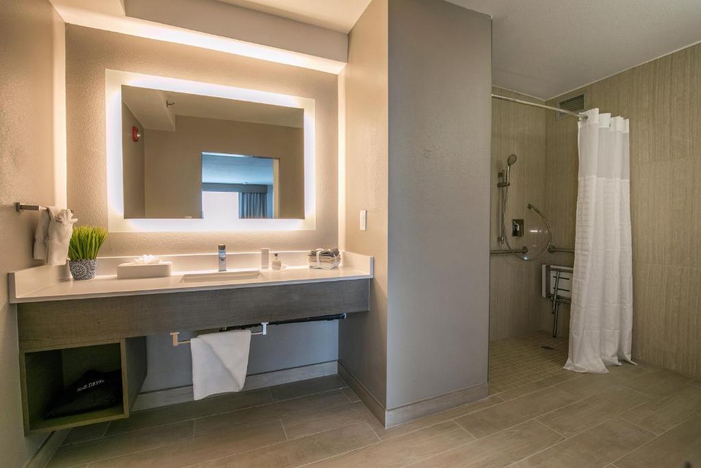 King Suite with Mobility Accessible Roll-In Shower