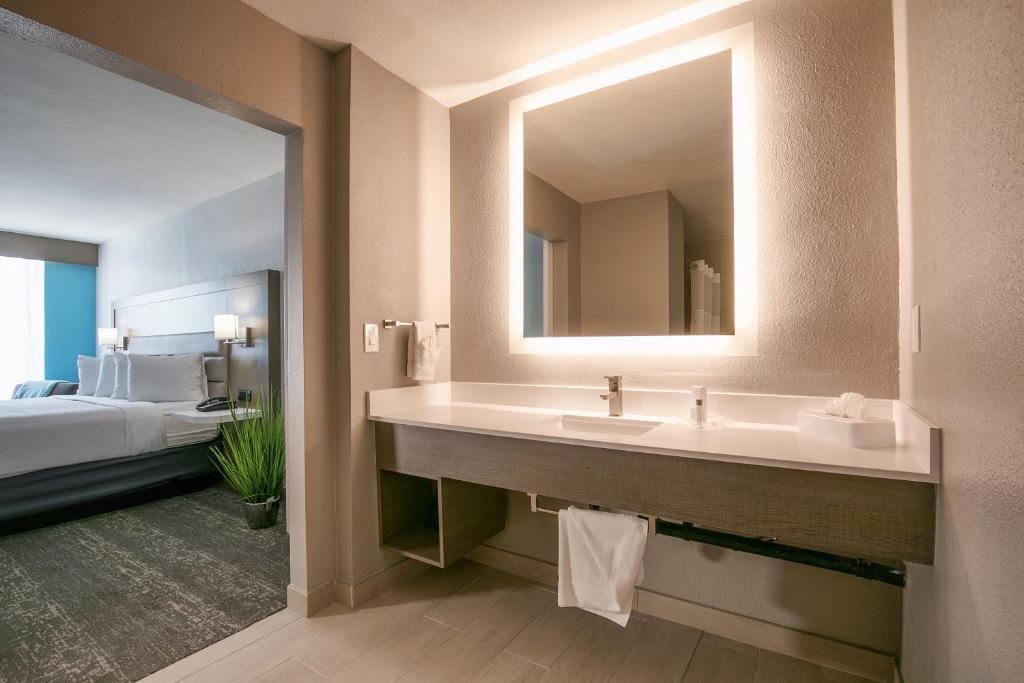 King Suite with Mobility Accessible Roll-In Shower