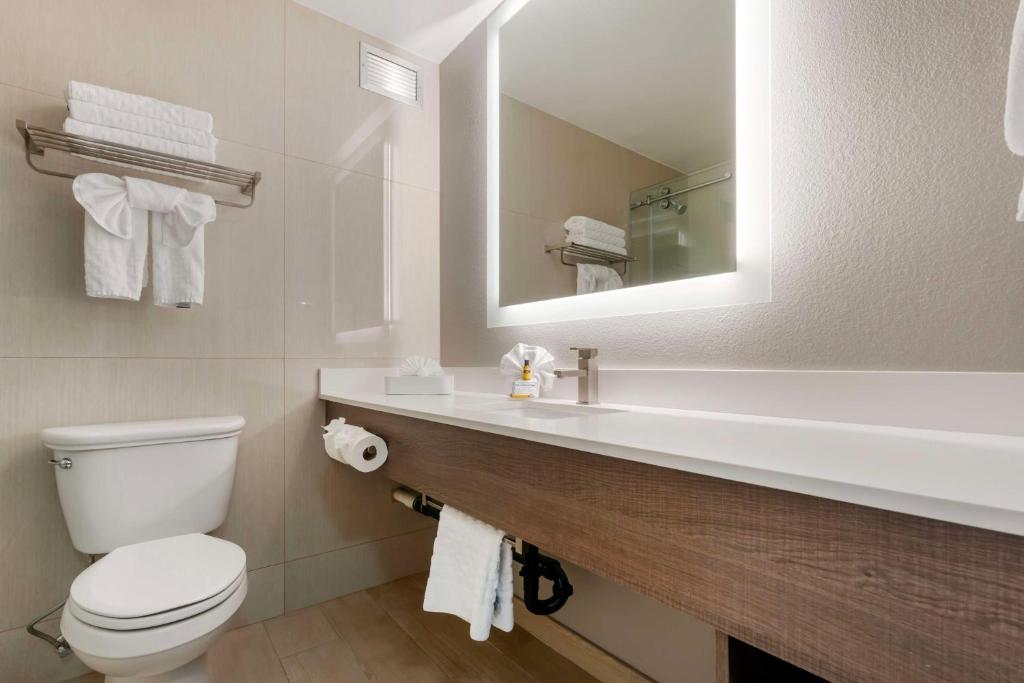 King Suite with Sofa Bed