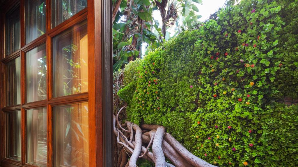 Double Room with 2 Double Beds – Non-Smoking