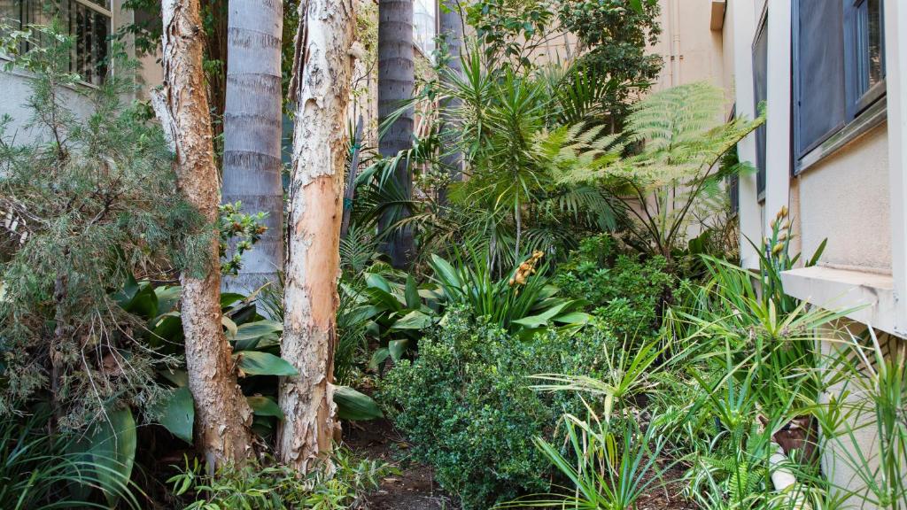 Queen Room with Two Queen Beds – Non-Smoking