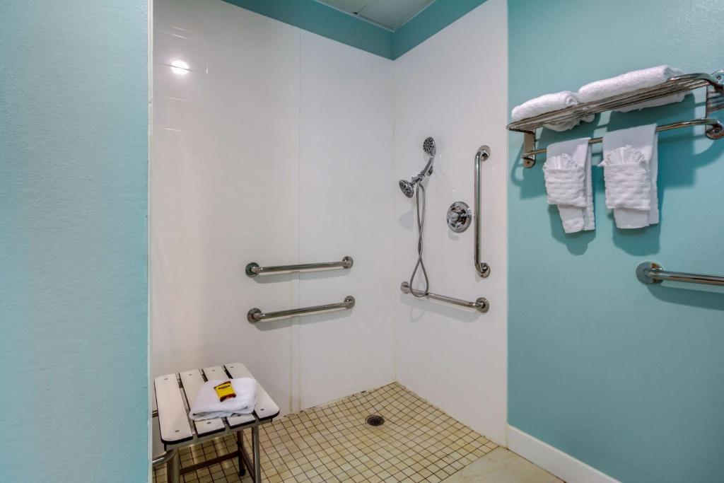 King Room with Roll-in Shower – MobilityCommunication AccessNon-Smoking