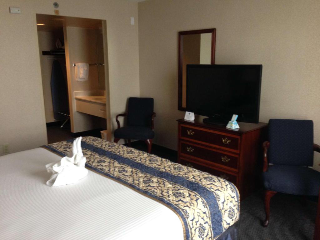 Executive Queen Room – Disability Access