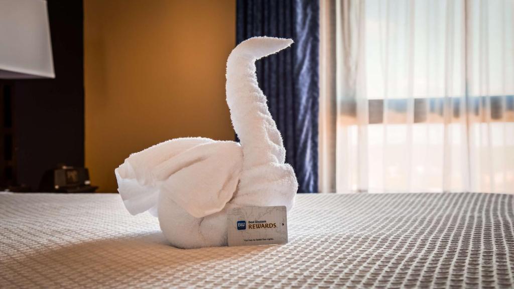 Queen Suite with Two Queen Beds – Disability Access