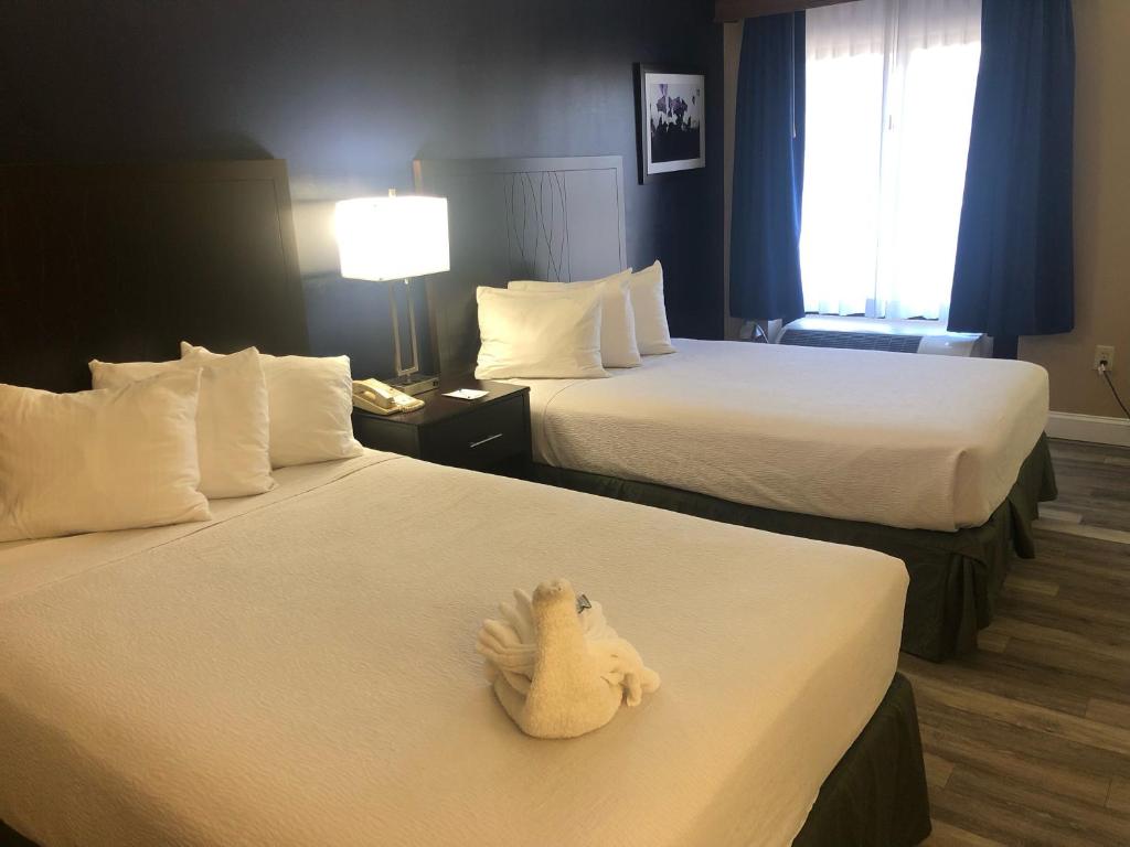 Double Room with Two Double Beds – Non-Smoking