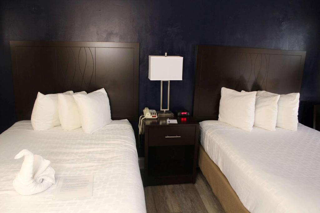 Executive Double Room with Two Double Beds – Non-Smoking