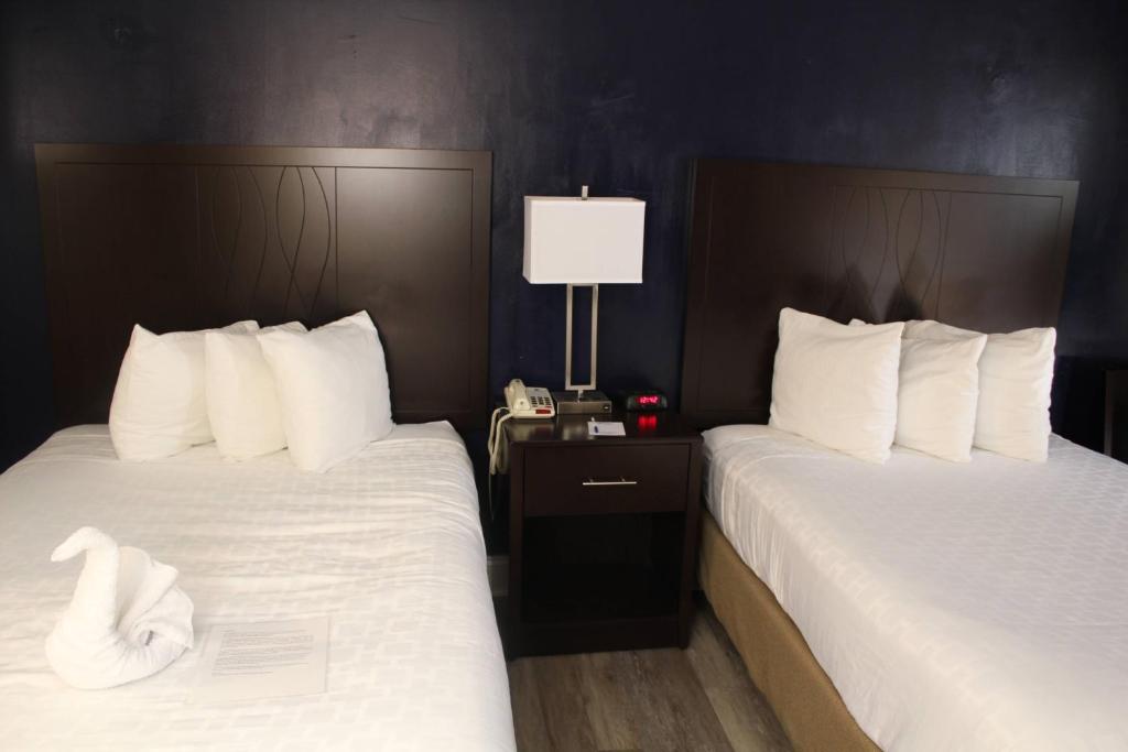 Queen Room – Disability Access