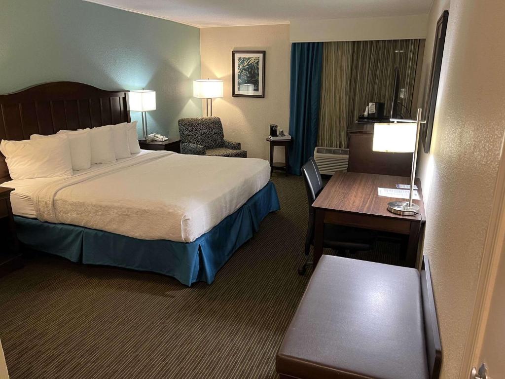 King Room with Mobility Accessible Walk-In ShowerNon-Smoking