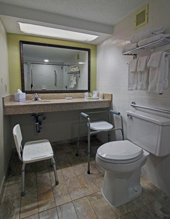 King Room with Mobility Accessible Walk-In ShowerNon-Smoking
