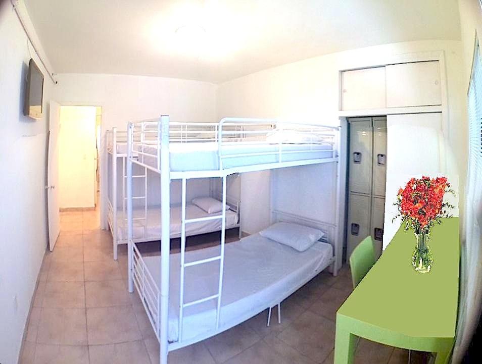 Bed in 4-Bed Mixed Dormitory Room