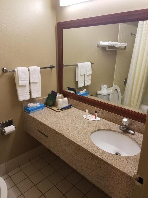 Superior Double Room with Two Double Beds – Non-Smoking