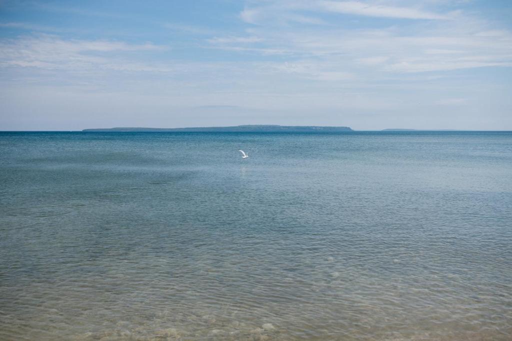 Junior Suite with Sofabed