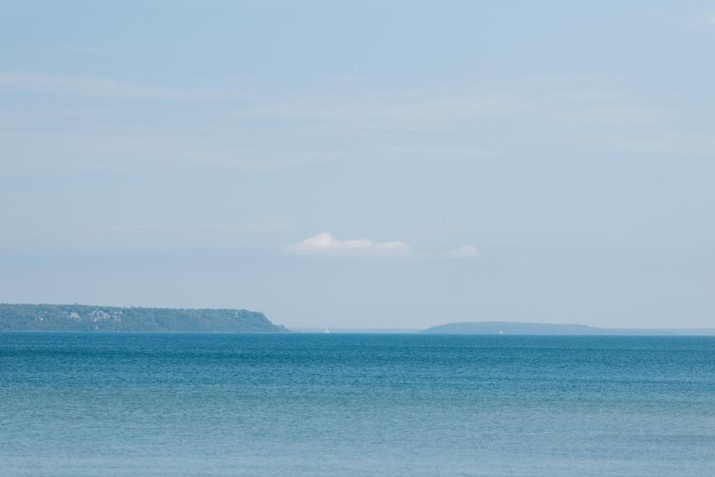 Junior Suite with Sofabed