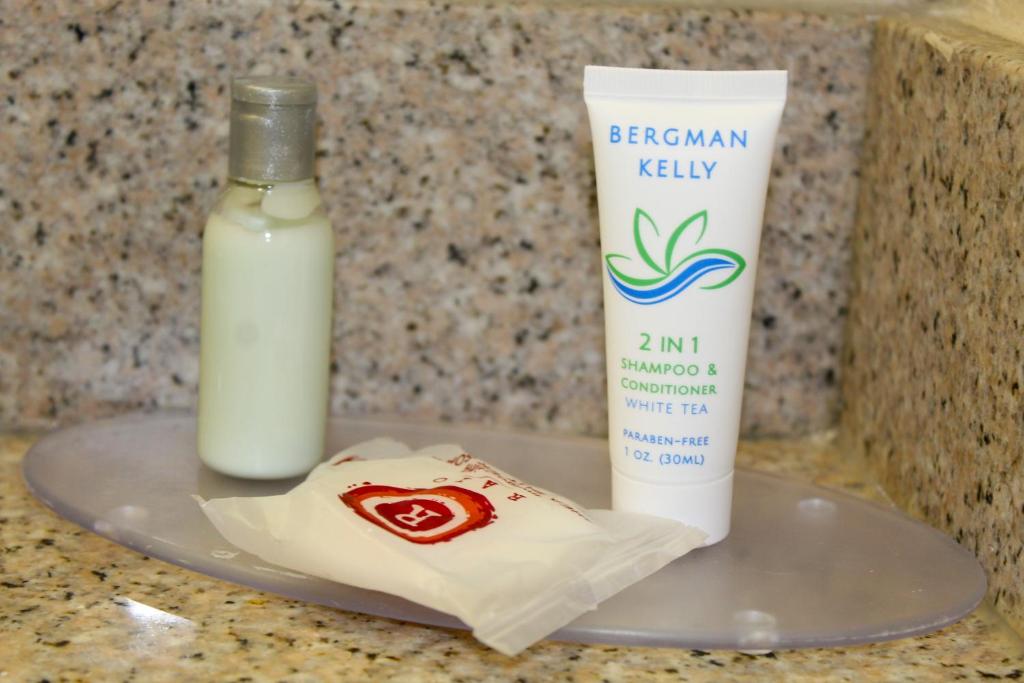 King Studio with Sofa Bed