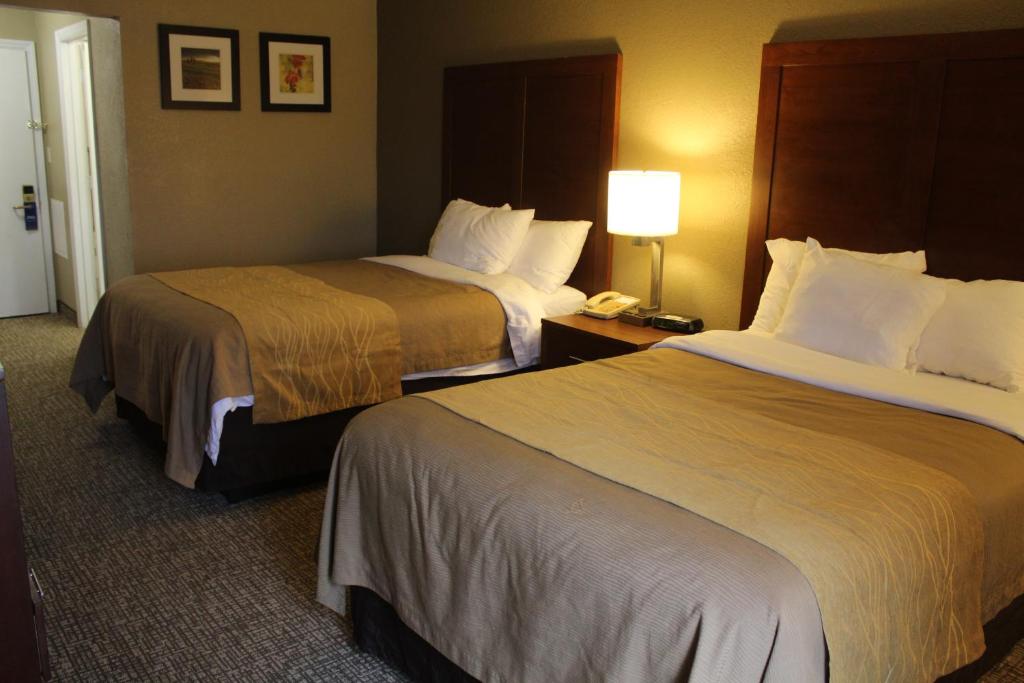 Queen Room – Disability Access